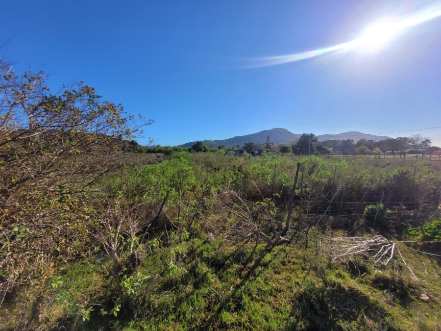 0 Bedroom Property for Sale in Kruisfontein Eastern Cape